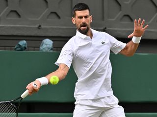 Sinner ve Djokovic, Wimbledon'da yarı finalde