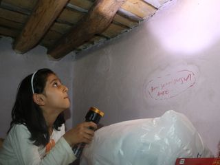 Hakkari'de tek katlı evde yılan paniği