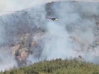 Bilecik'te bir başka orman yangını daha başladı