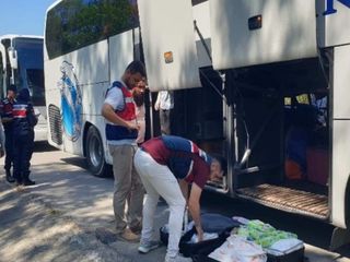 Sinop’ta düzensiz göçmen denetimi gerçekleştirildi