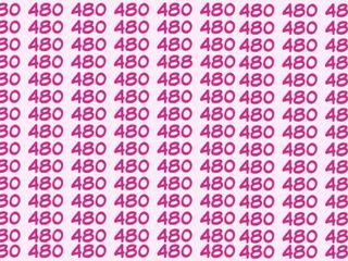 Gözleriniz ne kadar keskin? “480”lerin arasındaki “488”i 13 saniyede bulun