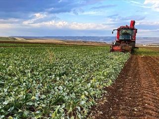 Çiftçilere 865 milyon liralık destekleme ödemesi bugün yapılacak