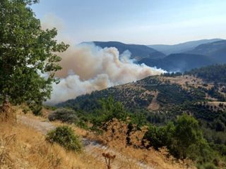 Bursa-Balıkesir sınırında orman yangını: Bir köy boşaltıldı