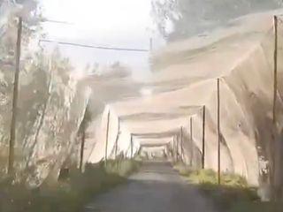 Ukrayna'dan yeni hamle: Cephe hattı yakınında anti-drone koridorları inşa edildi