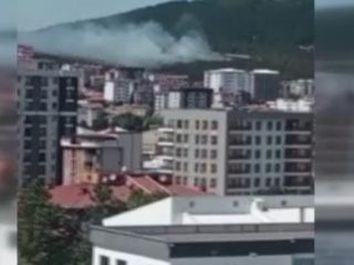 Pendik'te Aydos Ormanı'nda yangın