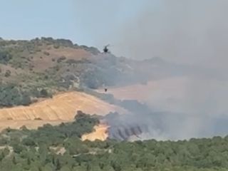 Balıkesir'de orman yangınına havadan müdahale sürüyor