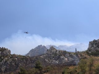 Hatay'da orman yangını