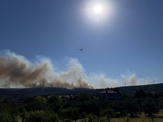 İzmir'de orman yangını