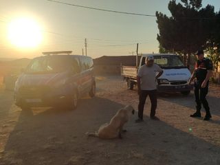 Yozgat'ta başıboş köpek çocuğa saldırdı