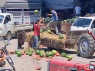Sakarya'da karpuzları yere atıp parçalayan üreticiler hakkında, işlem başlatıldı