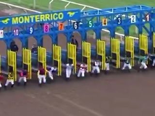 Peru'da atlar değil jokeyler koştu