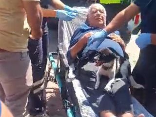 Nevşehir'de köpek, nehre düşen sahibini yalnız bırakmadı