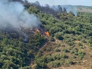 Sultangazi Kent Ormanı'nda yangın çıktı