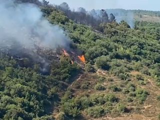 Bolu'da orman yangını çıktı