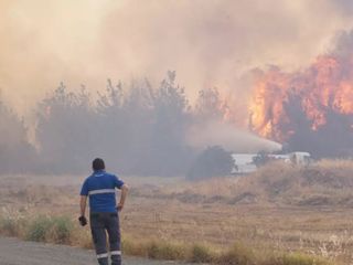 Tekirdağ'da çıkan orman yangını kontrol altında
