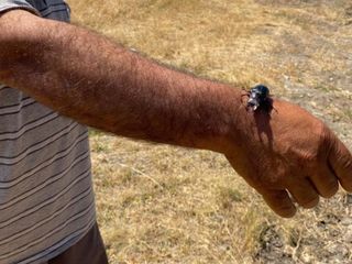 Öldürmenin cezası 557 bin TL: Duyan elini bile sürmüyor...