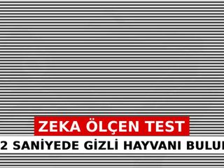 Dahi misin, sıradan mı? Bu görseldeki hayvanı herkes göremiyor