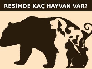 IQ testi: Resimde toplam kaç hayvan var? 7 saniyede bulan dahi çıkıyor