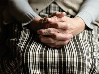 Eğitimli köpekler, Parkinson hastalığını yüzde 98 doğrulukla tespit etti