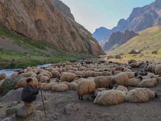 Karnelerini alan çocuklar, Hakkari'nin yaylalarında göçer ailelerine destek oluyor