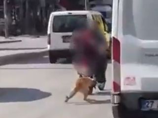 Gaziantep'te motosikletin arkasına bağladıkları köpeği sürüklediler