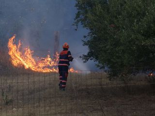 İtalya'nın Sicilya Adası'nda orman yangınlarıyla mücadele