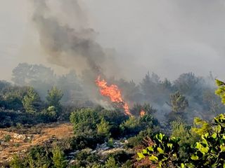 Mersin'deki orman yangınına müdahale sürüyor