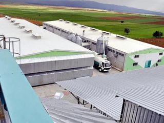 Afyonkarahisar'daki yumurta şirketine FETÖ soruşturması kapsamında kayyum atandı