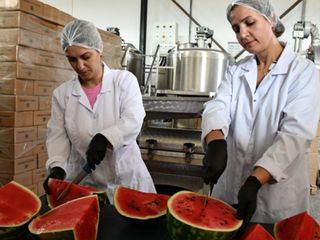 Bilecik'te karpuzdan pekmez yaptılar, değeri 25 kat arttı