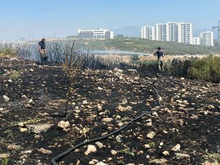 İzmir'de orman yangını kontrol altında