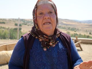 Kırıkkale'de 210 hayvan telef oldu: 63 yaşındaki kadın gözyaşlarına hakim olamadı