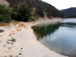 Bolu'yu da aşırı sıcaklar vurdu: Sünnet Gölü'nde sular çekildi
