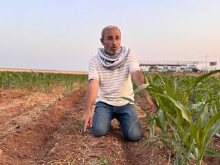Şanlıurfa'da mısır tohumları arasındaki fark çiftçiyi kızdırdı: Hakkımı arayacağım