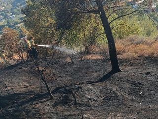 Hatay’daki orman yangınında son durum
