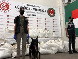 Kapıkule'de 3 tırda 179 kilo uyuşturucu ele geçirildi