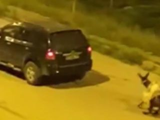 Kars'ta tepki çeken olay: Eşeği otomobilin arkasına bağlayıp sürükleyerek götürdü