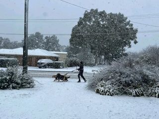 Avustralya son 45 yılın en sert kışını yaşıyor