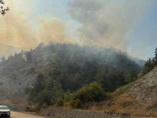 Karabük'te orman yangını