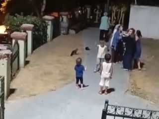 İstanbul'da parkta çocuklar arasındaki kavgaya anneler de dahil oldu