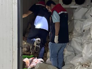 Şırnak'ta 3 ton kaçak et ele geçirildi