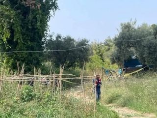 Aydın domuz nöbetine çıkan çiftçi, tarlasına ölü bulundu
