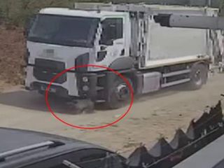 Sakarya'da ezerek öldürdükleri köpekleri çöp kamyonuna atıp götürdüler
