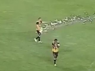İsrailli taraftarlar Letonya'da ortalığı karıştırdı: Futbolcuya havai fişek attılar