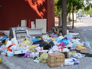 İzmir'de çöp dağları isyan ettirdi: Her yerde böcekler var