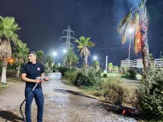 Mardin'de parktaki palmiye ağacı ateşe verildi