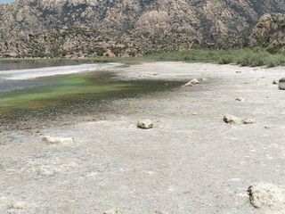 Bafa Gölü ve çevresinde kirlilik alarmı