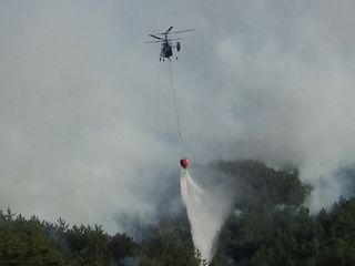 Bolu’daki orman yangını kısmen kontrol altında: 2 gözaltı