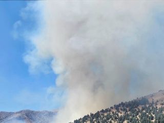 Kahramanmaraş'ta orman yangını: Müdahale sürüyor
