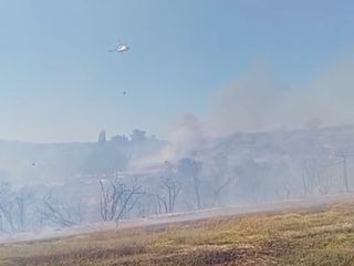 Osmaniye'de anız yangınında alevler makilik alana sıçradı