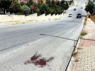 İstanbul'da mezarlık önündeki kardeş kavgasında kan aktı